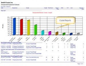 CMMS Software Reporting Crystal Reports