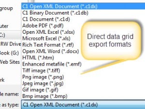 CMMS Software Reporting Grid Formats