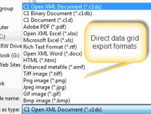 CMMS Software Reporting Grid Formats