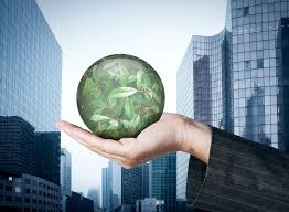 environmental policy statement Environmental Policy