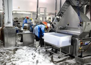 cleaning food processing equipment